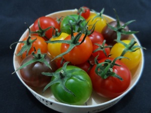 Marusho Tomatoes
