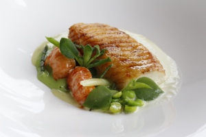 John Dory with Pea Veloute